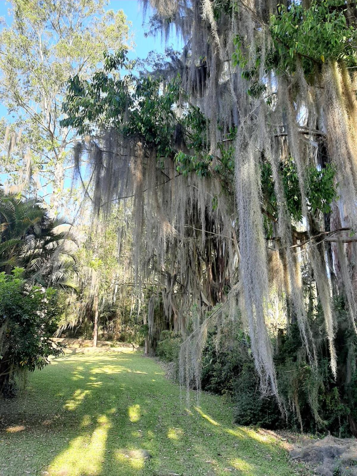 Sitio Riacho Das Pedras Teresópolis Buitenkant foto